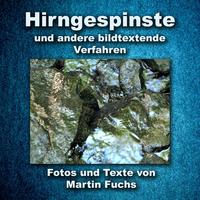 Vorderes Coverbild Hirngespinste