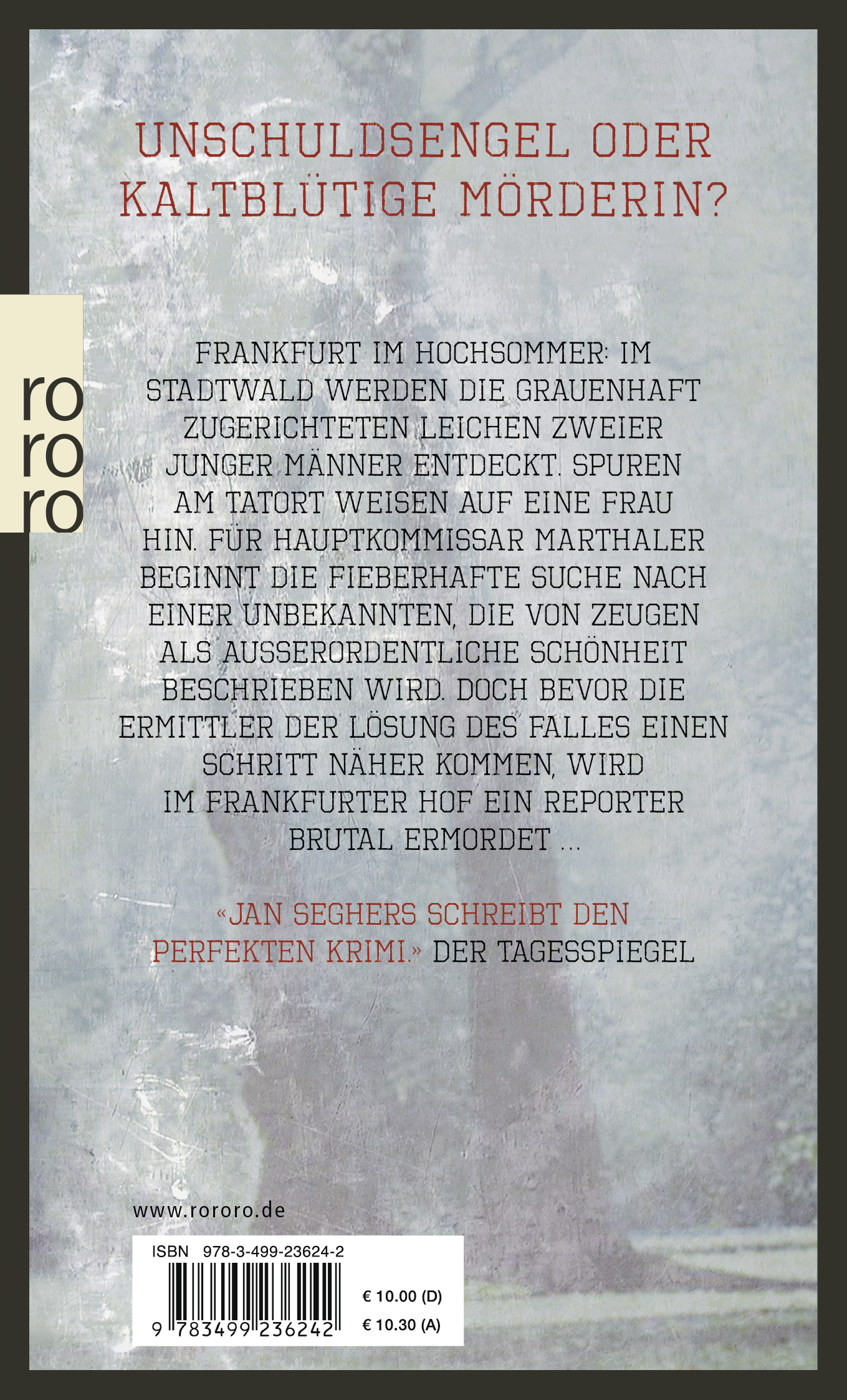 Rückseitencover Ein allzu schönes Mädchen