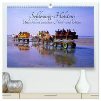 Vorderes Coverbild Schleswig-Holstein, Urlaubsland zwischen Nord- und Ostsee (hochwertiger Premium Wandkalender 2025 DIN A2 quer), Kunstdruck in Hochglanz