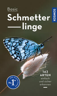 Vorderes Coverbild Basic Schmetterlinge
