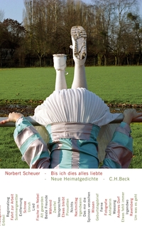 Vorderes Coverbild Bis ich dies alles liebte