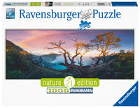 Vorderes Coverbild Ravensburger Puzzle - Schwefelsäure See am Mount Ijen, Java - Nature Edition 1000 Teile