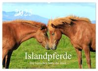 Vorderes Coverbild Islandpferde - Die tierischen Stars der Insel (Wandkalender 2025 DIN A2 quer), CALVENDO Monatskalender
