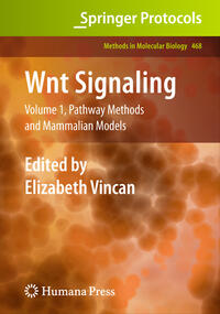 Vorderes Coverbild Wnt Signaling