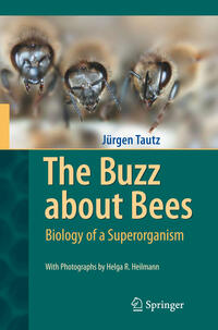 Vorderes Coverbild The Buzz about Bees