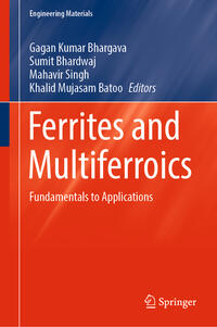 Vorderes Coverbild Ferrites and Multiferroics