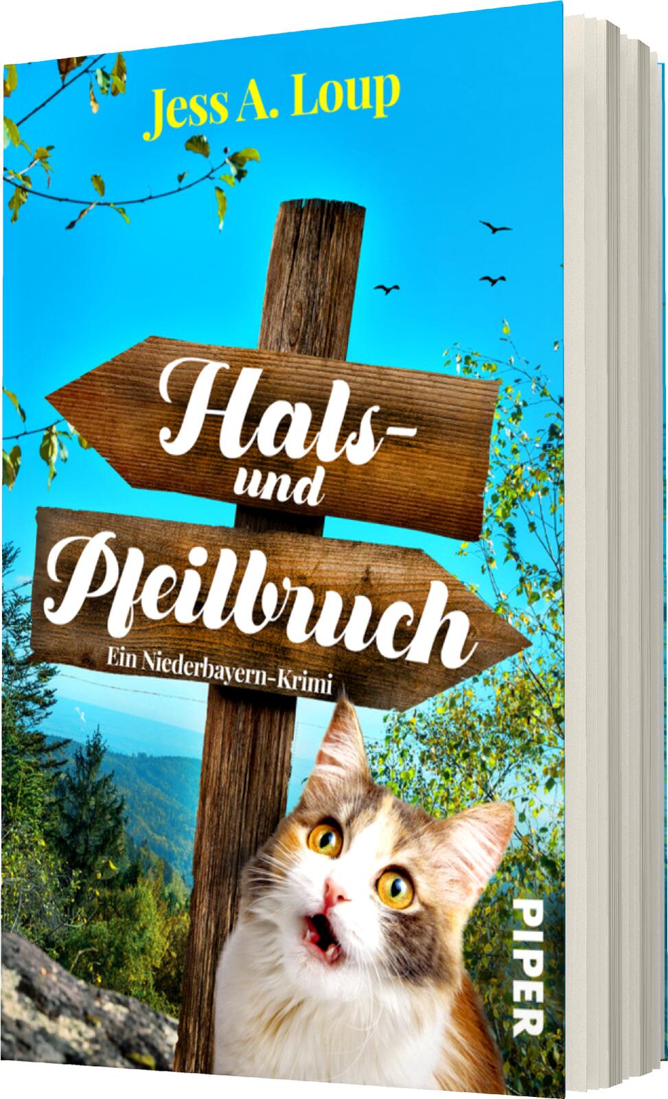 Anderes Coverbild Hals- und Pfeilbruch