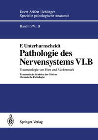 Vorderes Coverbild Pathologie des Nervensystems VI.B