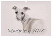 Vorderes Coverbild Windspiele 2025 (Wandkalender 2025 DIN A2 quer), CALVENDO Monatskalender