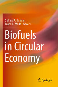 Vorderes Coverbild Biofuels in Circular Economy