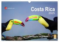 Vorderes Coverbild Costa Rica 2025 Exotische Vogelwelt (Wandkalender 2025 DIN A3 quer), CALVENDO Monatskalender