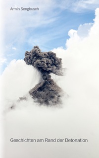 Vorderes Coverbild Geschichten am Rand der Detonation