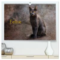 Vorderes Coverbild Feline (hochwertiger Premium Wandkalender 2025 DIN A2 quer), Kunstdruck in Hochglanz