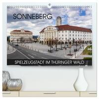 Vorderes Coverbild Sonneberg - Spielzeugstadt im Thüringer Wald (hochwertiger Premium Wandkalender 2025 DIN A2 quer), Kunstdruck in Hochglanz