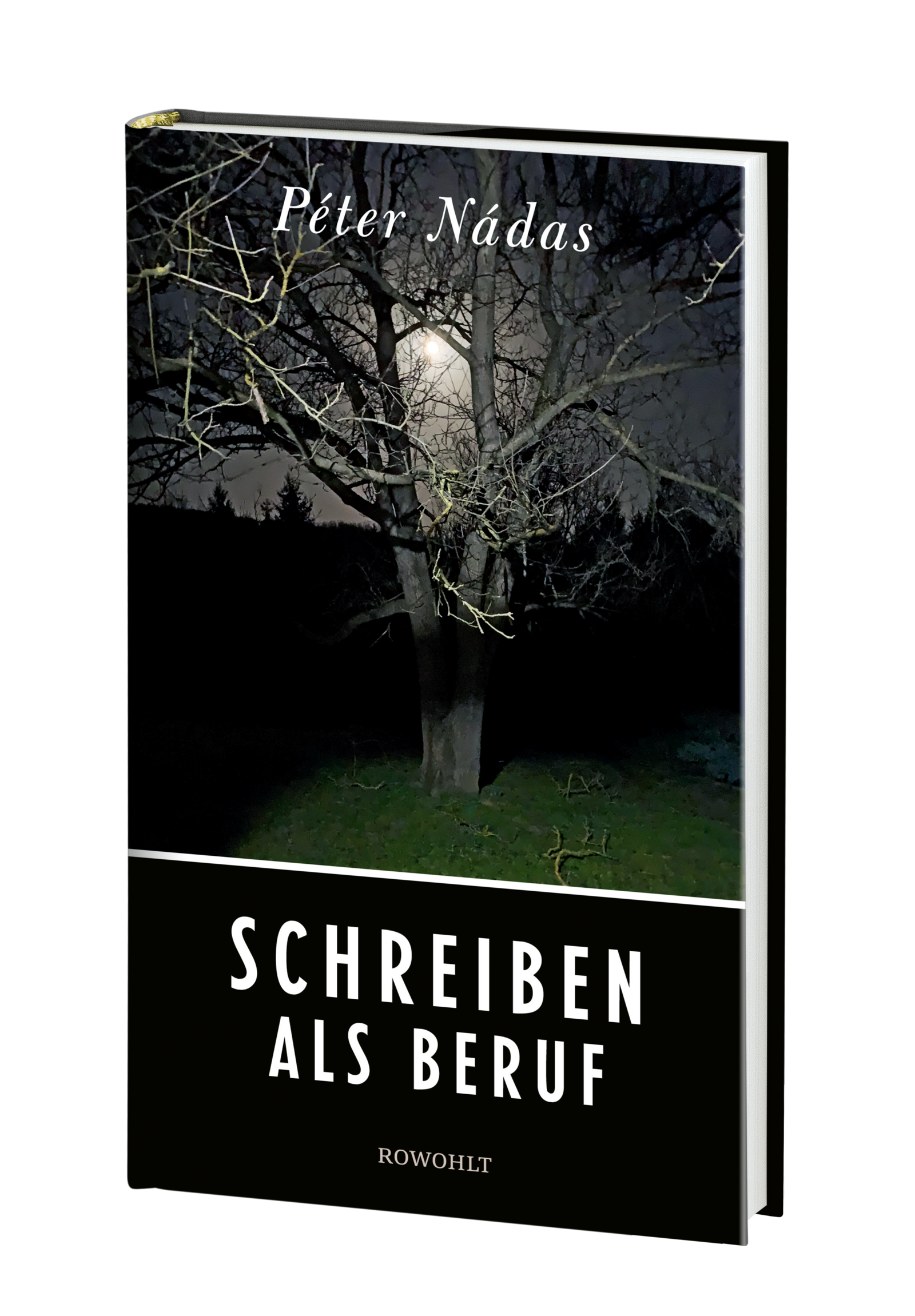 Anderes Coverbild Schreiben als Beruf