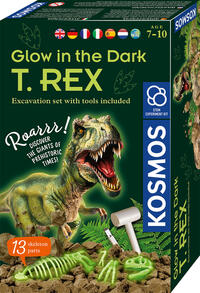 Vorderes Coverbild MBE Glow in the Dark T. REX INT
