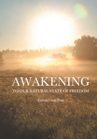 Vorderes Coverbild Awakening