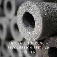 Vorderes Coverbild Laterale Führung - Erfolgreich seitlich führen
