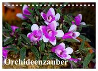 Vorderes Coverbild Orchideenzauber (Tischkalender 2025 DIN A5 quer), CALVENDO Monatskalender