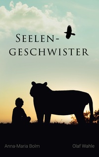 Vorderes Coverbild Seelengeschwister