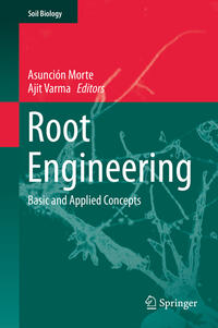 Vorderes Coverbild Root Engineering