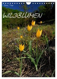 Vorderes Coverbild WILDBLUMEN (Wandkalender 2025 DIN A4 hoch), CALVENDO Monatskalender