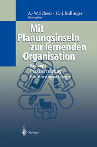 Vorderes Coverbild Mit Planungsinseln zur lernenden Organisation