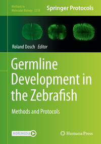 Vorderes Coverbild Germline Development in the Zebrafish