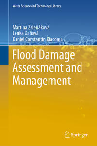 Vorderes Coverbild Flood Damage Assessment and Management
