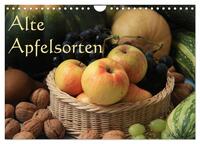 Vorderes Coverbild Alte Apfelsorten (Wandkalender 2026 DIN A4 quer), CALVENDO Monatskalender