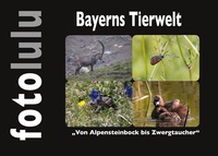 Vorderes Coverbild Bayerns Tierwelt