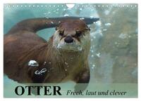 Vorderes Coverbild Otter. Frech, laut und clever (Wandkalender 2026 DIN A4 quer), CALVENDO Monatskalender