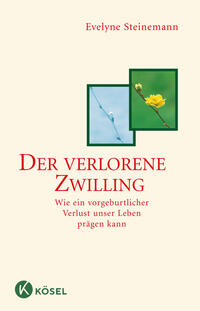 Vorderes Coverbild Der verlorene Zwilling