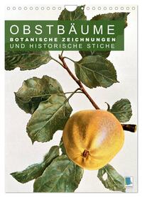 Vorderes Coverbild Obstbäume: Botanische Zeichnungen und historische Stiche (Wandkalender 2026 DIN A4 hoch), CALVENDO Monatskalender