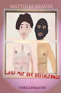 Vorderes Coverbild Liebe mit der Brechstange