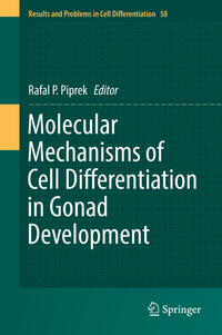 Vorderes Coverbild Molecular Mechanisms of Cell Differentiation in Gonad Development