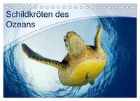 Vorderes Coverbild Schildkröten des Ozeans (Tischkalender 2025 DIN A5 quer), CALVENDO Monatskalender
