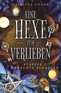 Vorderes Coverbild Erwachte Schatten