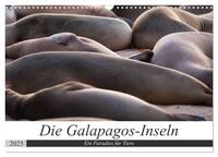 Vorderes Coverbild Galapagos-Inseln - Ein Paradies für Tiere (Wandkalender 2025 DIN A3 quer), CALVENDO Monatskalender
