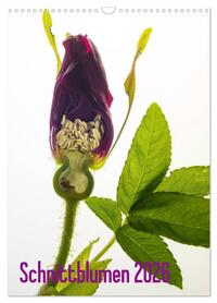 Vorderes Coverbild Schnittblumen 2026 (Wandkalender 2026 DIN A3 hoch), CALVENDO Monatskalender