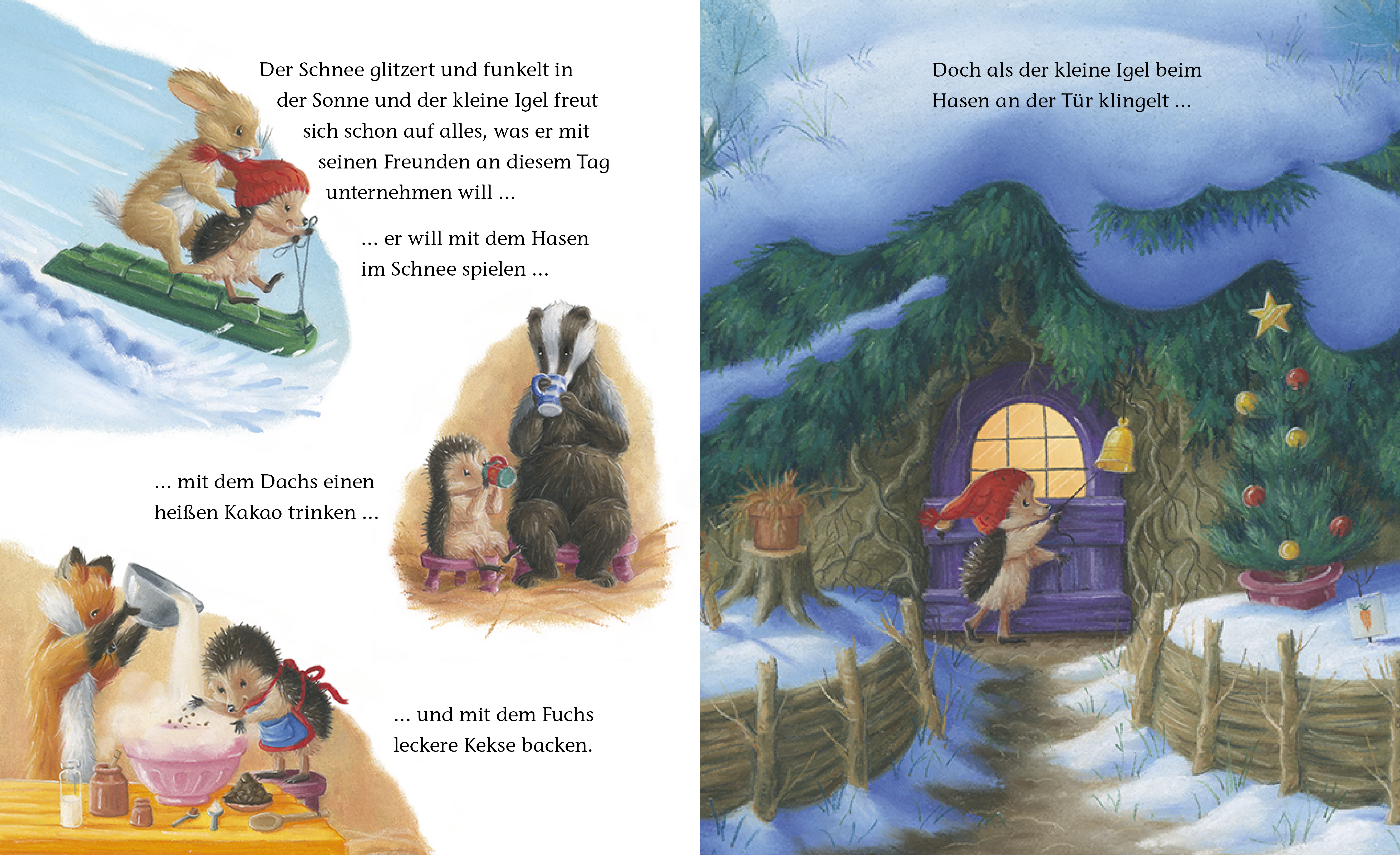 Beispielinhalt (Bild) Der kleine Igel und der turbulente Weihnachtstag