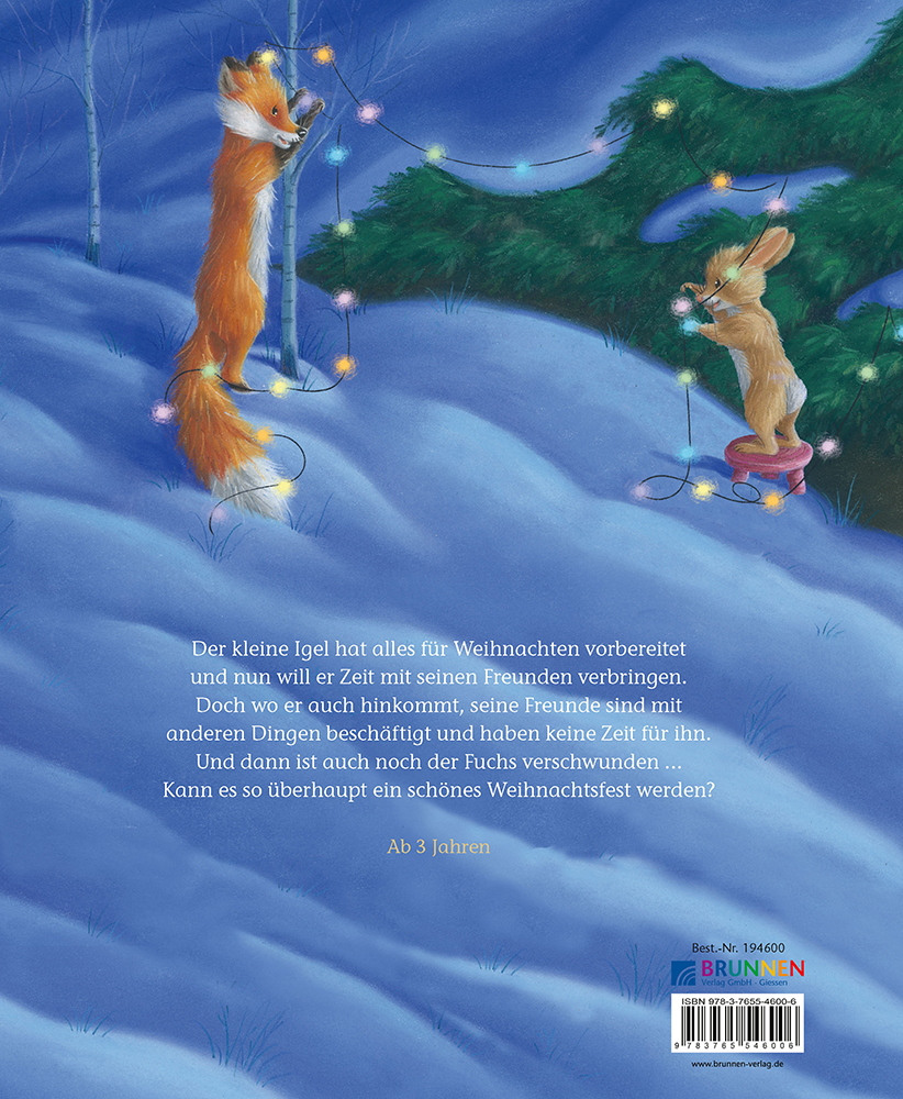 Rückseitencover Der kleine Igel und der turbulente Weihnachtstag