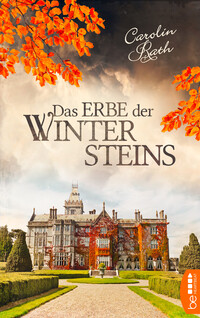 Vorderes Coverbild Das Erbe der Wintersteins