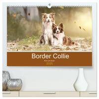 Vorderes Coverbild Border Collie - Bunt und clever! (hochwertiger Premium Wandkalender 2025 DIN A2 quer), Kunstdruck in Hochglanz