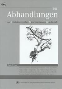 Vorderes Coverbild Ornatocephalus metzleri gen. et spec. nov. (Lacertilia, Scinoida)