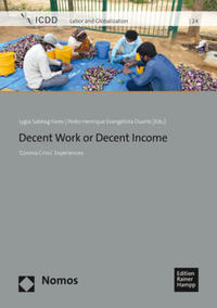 Vorderes Coverbild Decent Work or Decent Income