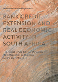 Vorderes Coverbild Bank Credit Extension and Real Economic Activity in South Africa