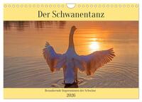 Vorderes Coverbild Der Schwanentanz (Wandkalender 2026 DIN A4 quer), CALVENDO Monatskalender