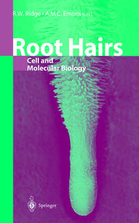 Vorderes Coverbild Root Hairs