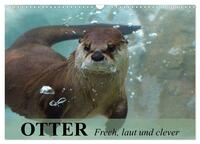 Vorderes Coverbild Otter. Frech, laut und clever (Wandkalender 2025 DIN A3 quer), CALVENDO Monatskalender